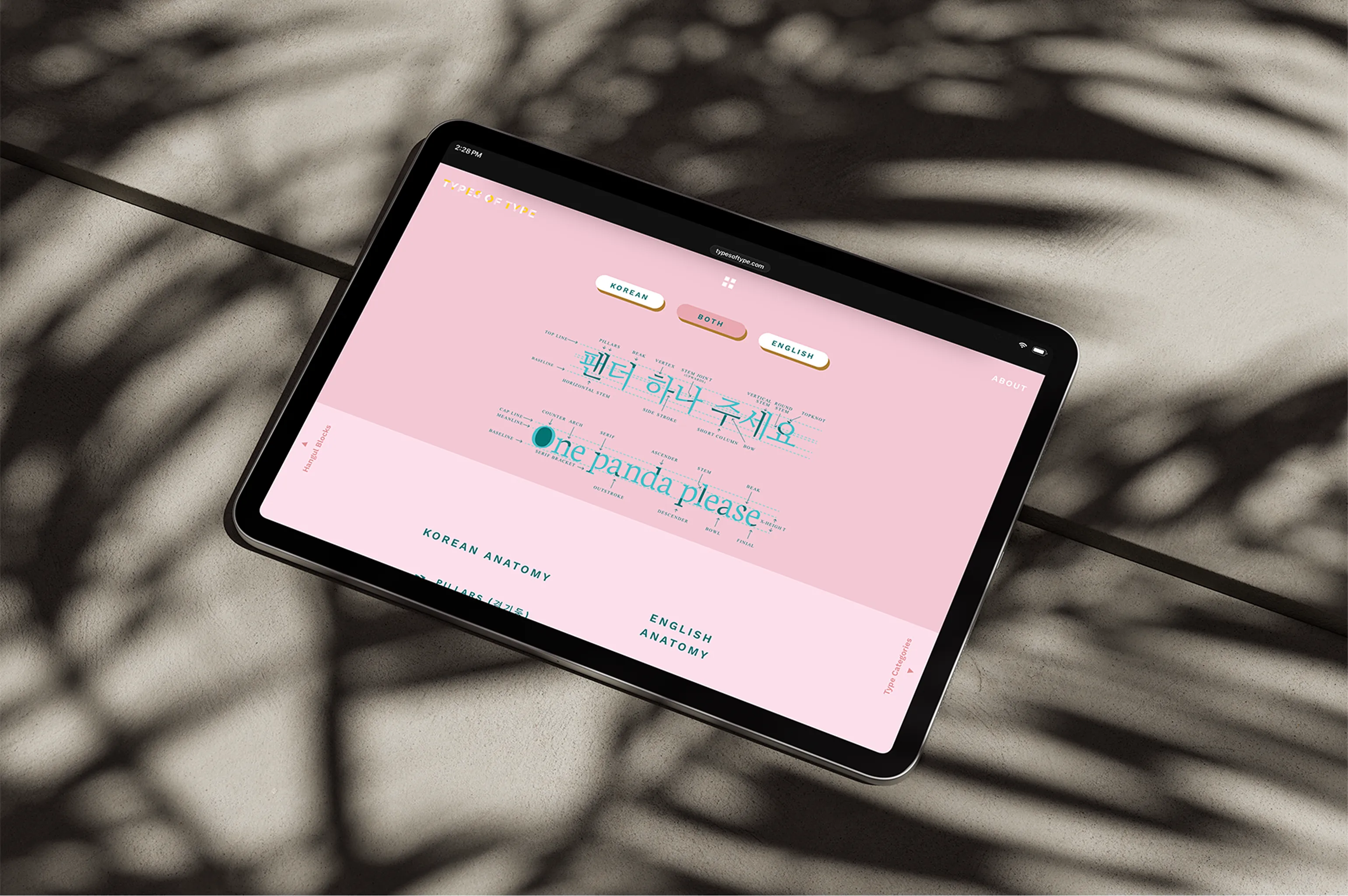 Types of Type | Amanda Lui